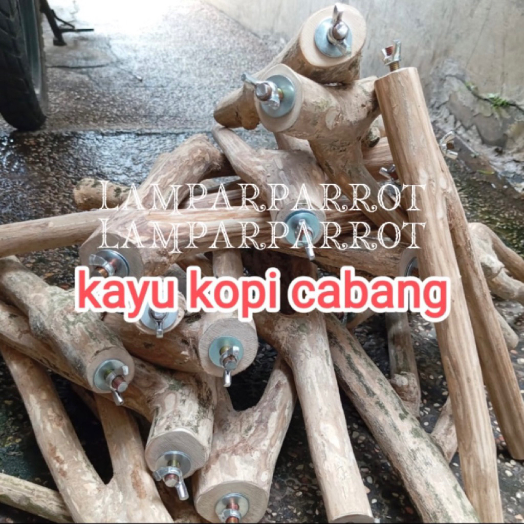 Tangkringan Kayu Kopi / Pangkringan kayu kopi burung kakak tua