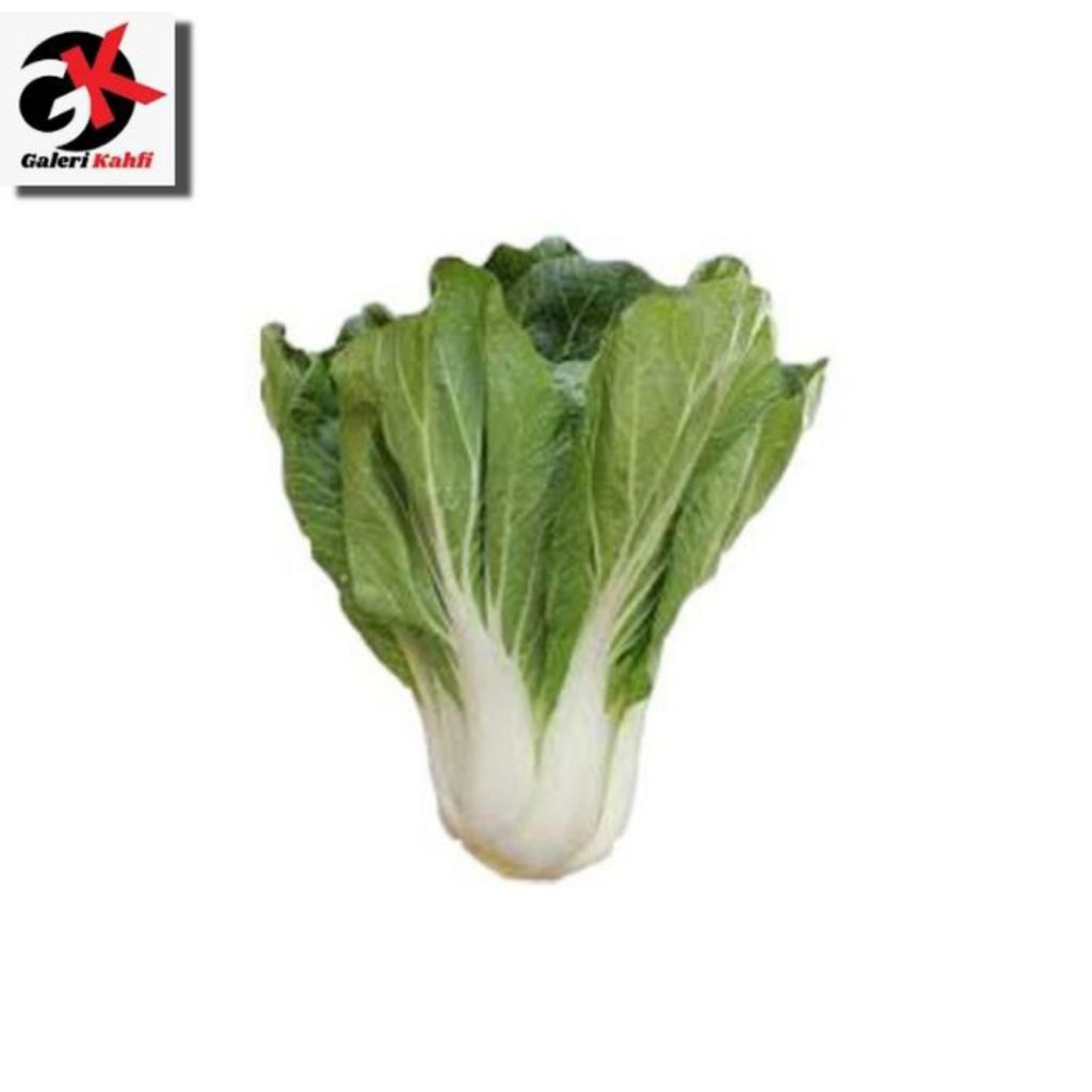 

Pakcoy Putih Segar Berkualitas Grade A - 250gr