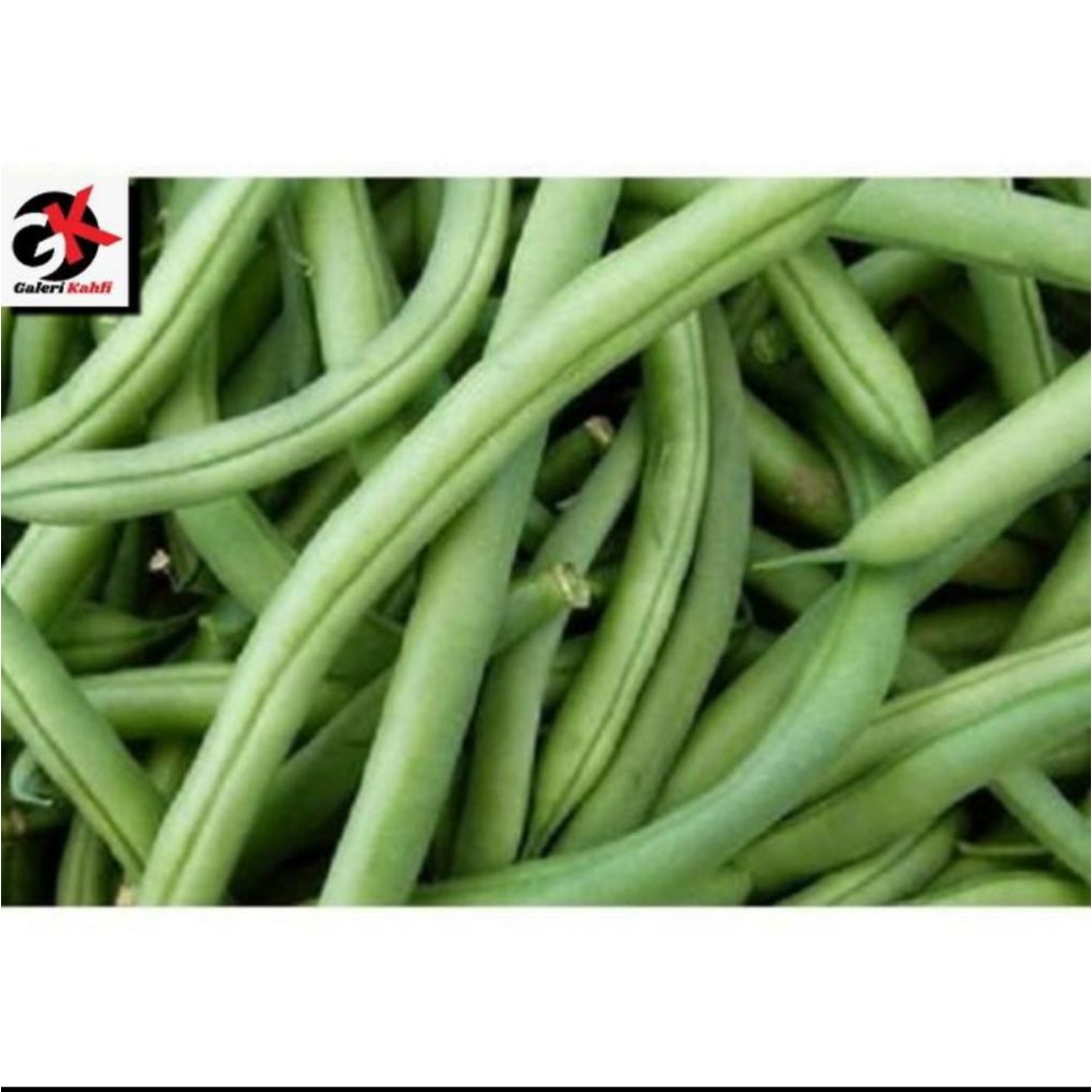 

Buncis Segar Berkualitas Grade A _ 500gr