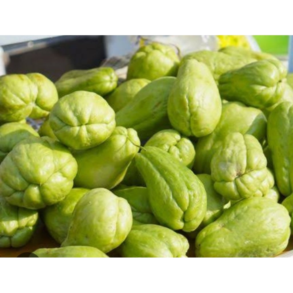 

Labu Siam/ waluh Jipang Wonosobo 500grm