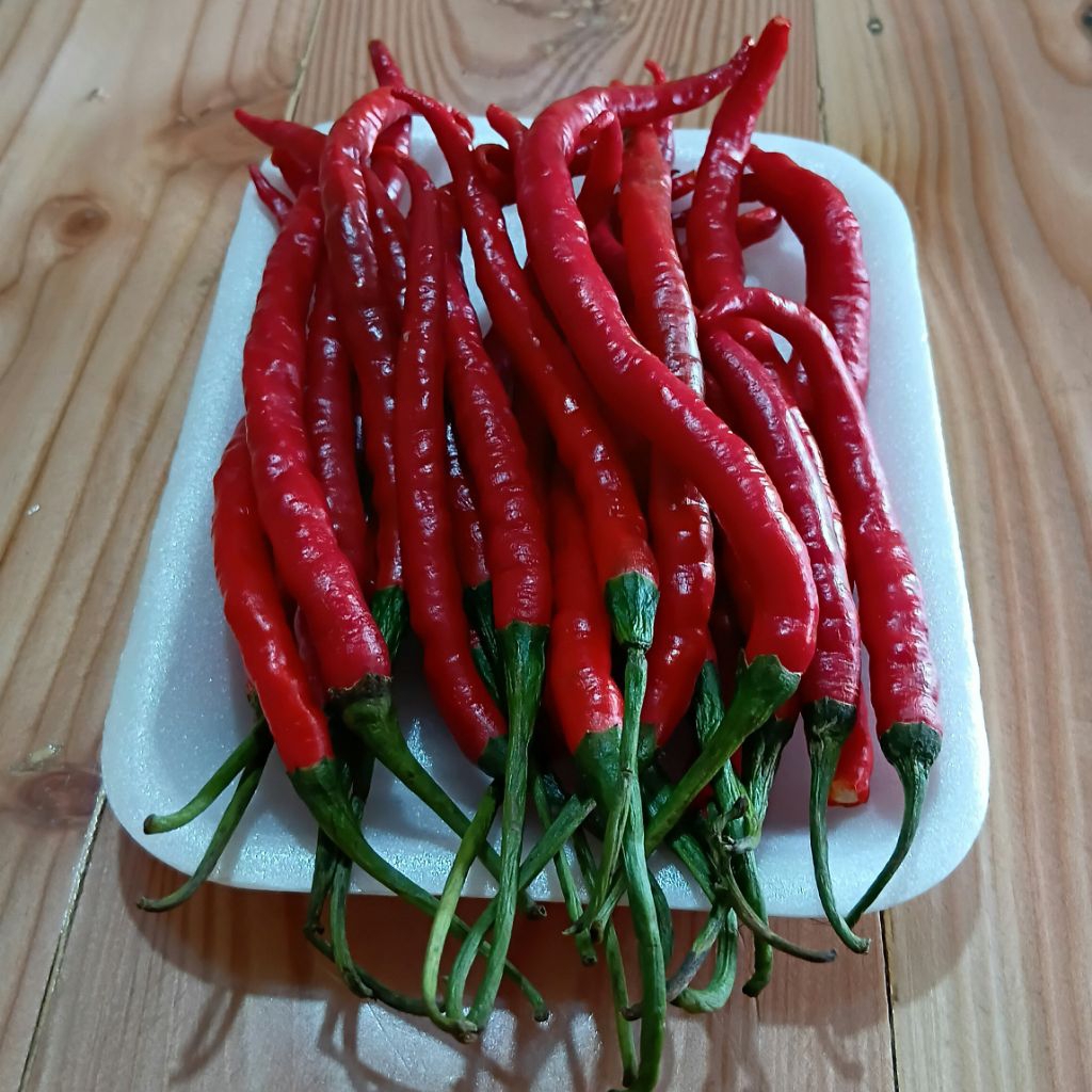 

Cabai merah keriting 100g