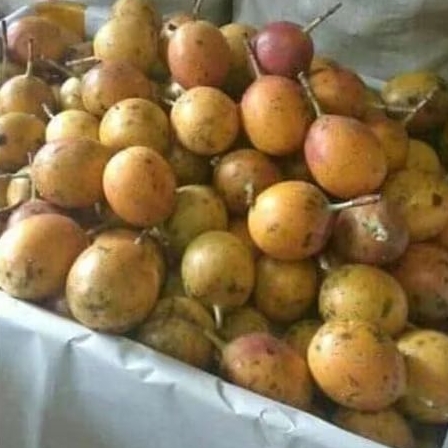 

BUAH MARKISA MEDAN MANIS