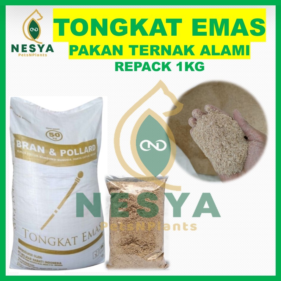 Pollard Tongkat Emas Kemasan 1kg Polar Pakan Sapi - Polar Pakan Kambing