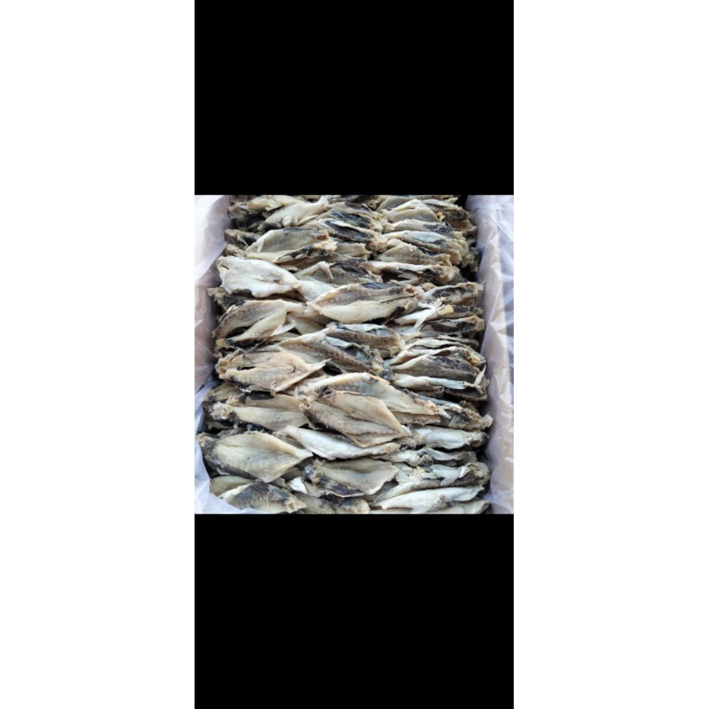 

Ikan Asin Buntek