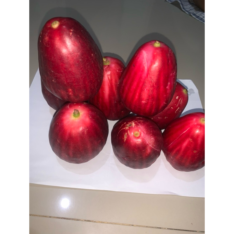 

Jambu bol Jamaika 1 kg