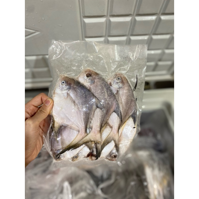 

IKAN BAWAL PUTIH 400-500GR - LAUKKU IKAN