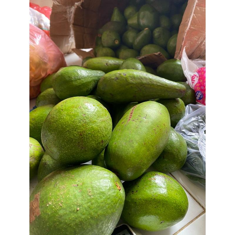 

Alpukat Mentega 1kg KIRIM INSTAN