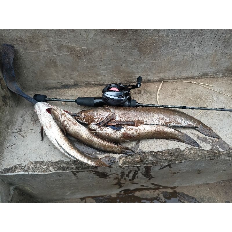 RAPALA trail blazer