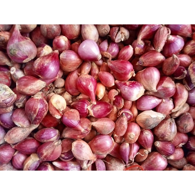 

Bawang Merah Super 250 gram