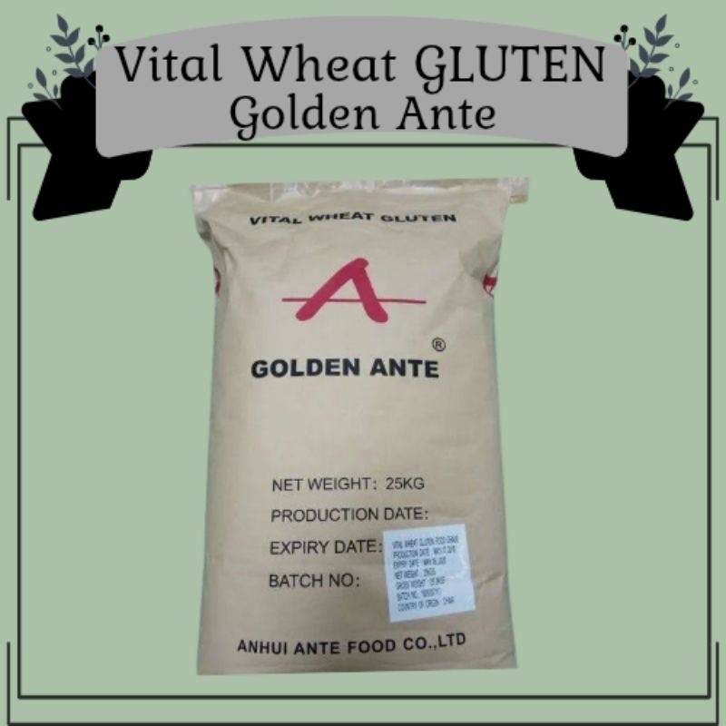 

VITAL WHEAT GLUTEN GOLDEN ANTE 1kg Repack