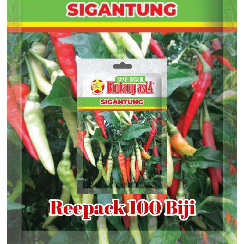 Reepack 100 Biji Cabe Sigantung | Benih Cabe Rawit Sigantung | Benih Cabe rawit Tahan Virus