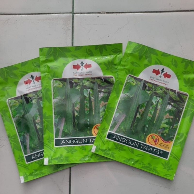 

Gambas Anggun Tavi F1 cap panah merah