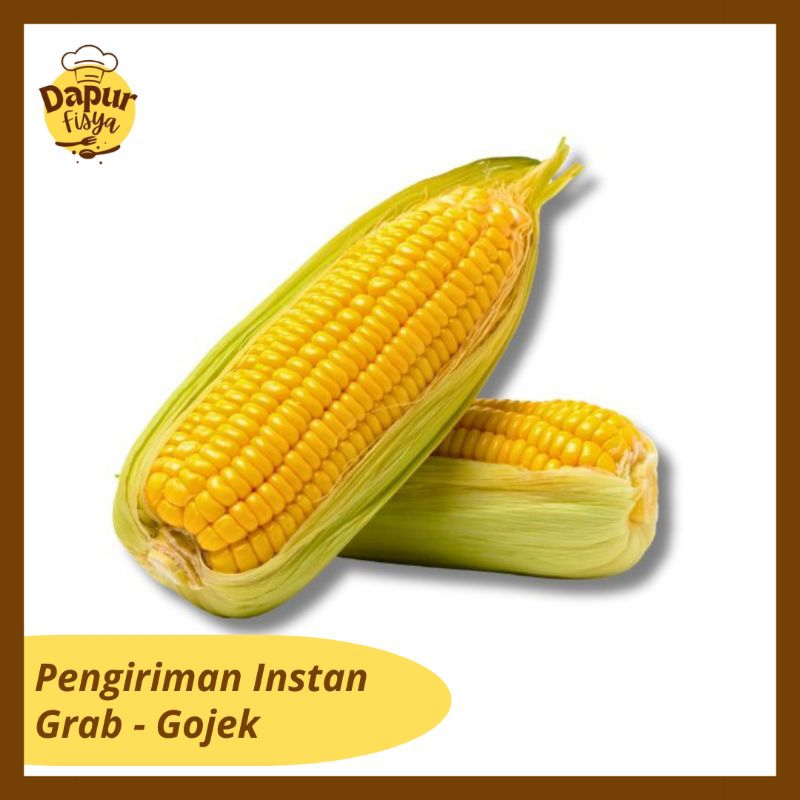

Jagung Manis/ Jagung Fresh/ Jagung Mentah/ Jagung