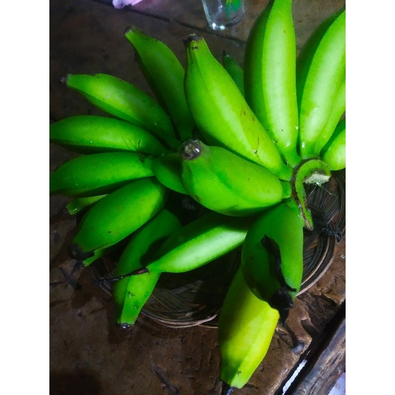 

Pisang Limpung | Pisang Emas Per Sisir