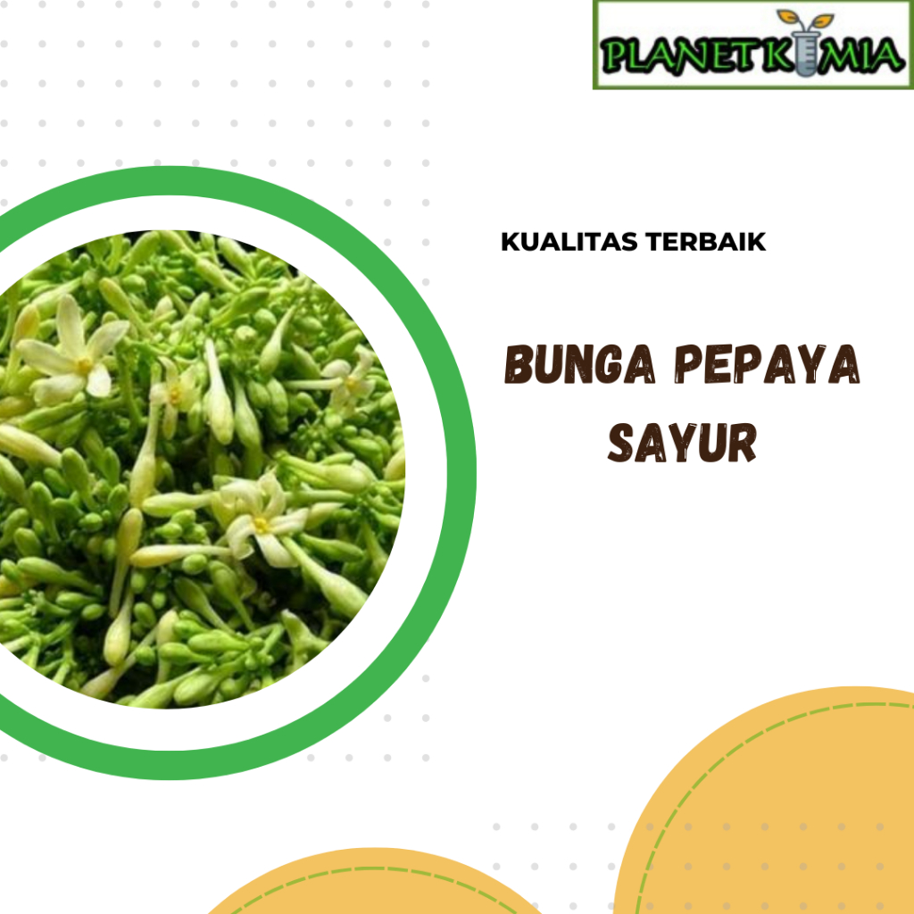 

ekstrak bunga pepaya sayur best product