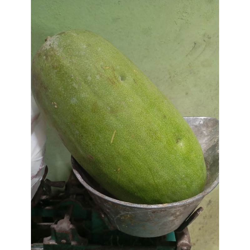 

buah bligo kundur berat 4kg