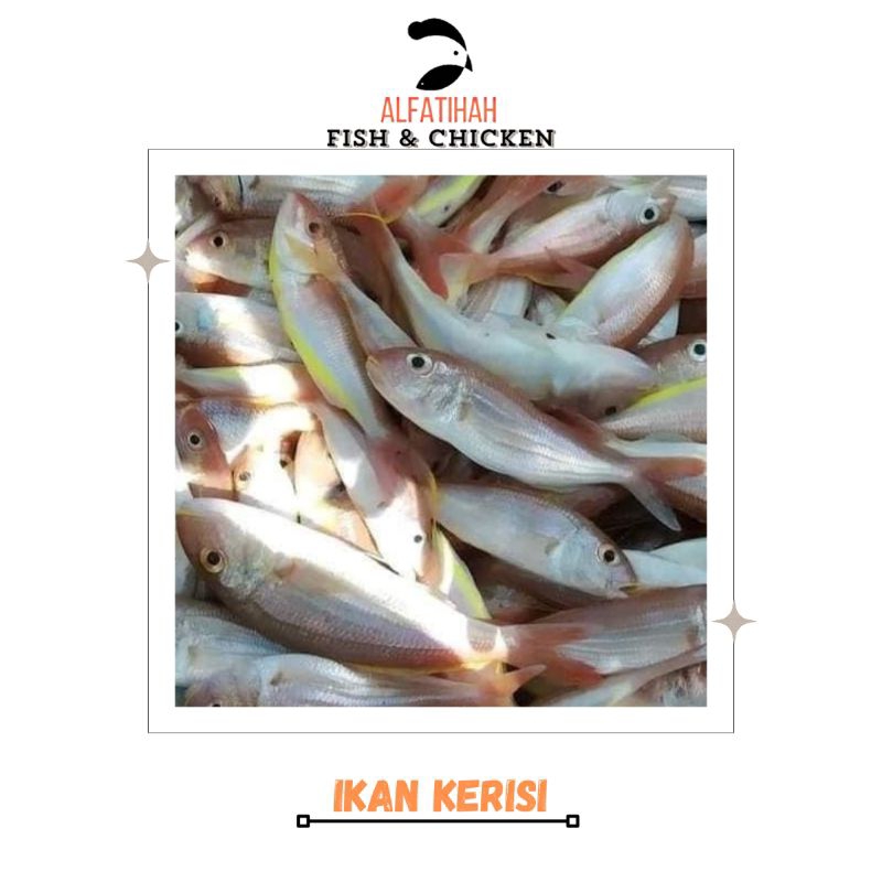 

ikan Kerisi