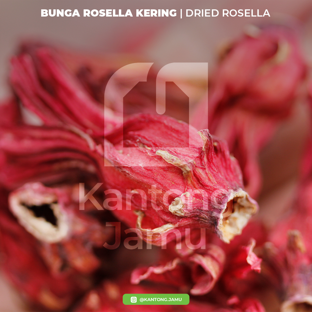 

Bunga Rosella Merah Kering / Dried Rosella / 100% Alami / Kaja - Kantong Jamu