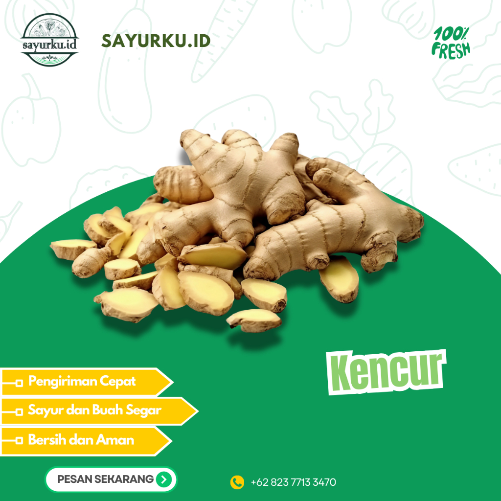 

KENCUR SEGAR – AROMA KHAS, SEHAT & BERKUALITAS!