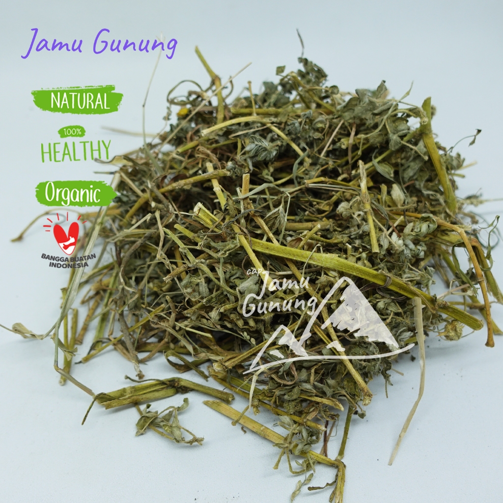 

Grade A Tribulus 1kg Kering Asli