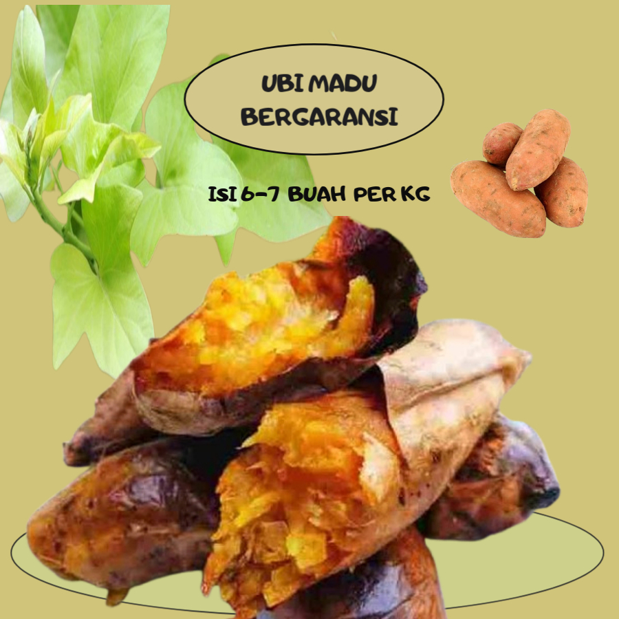 

Ubi Madu Cilembu Asli Bergaransi Mentah Kecil Isi 7, 8 Per Kg