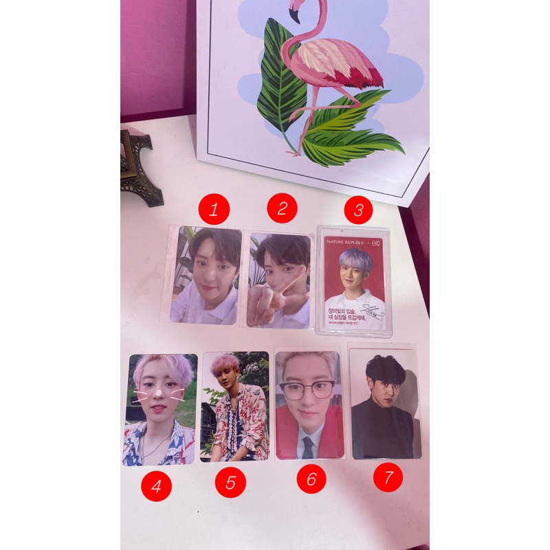 Photocard Chanyeol EXO (OFFICIAL)