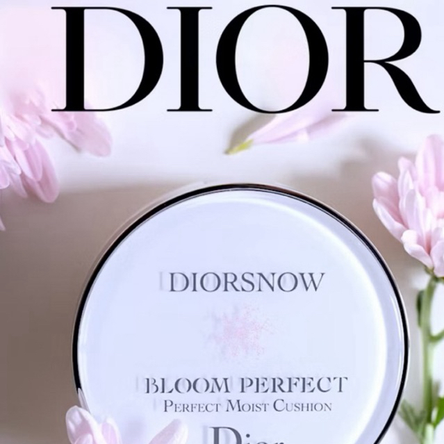 bedak dior