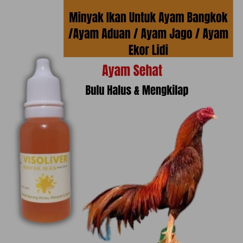 Visioliver Minyak Ikan Untuk Ayam Bangkok Aduan Jago Ekor Lidi Mengandung Omega 3 & Vitamin