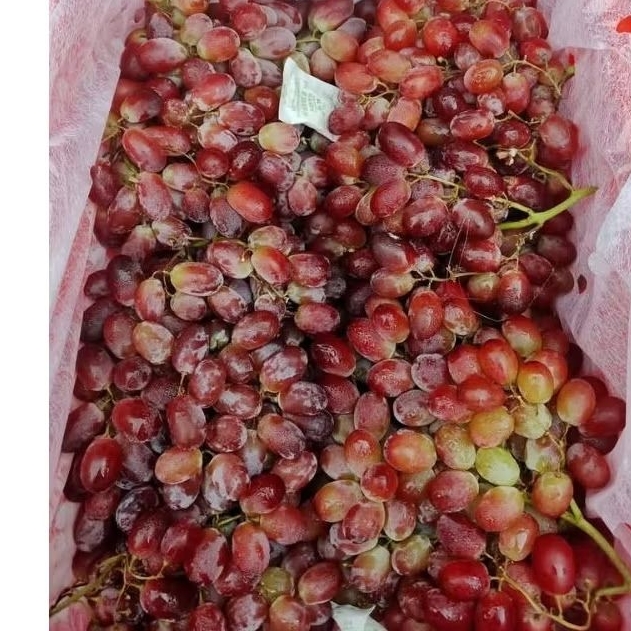 ANGGUR CRIMSON 1 KERANJANG 5kg