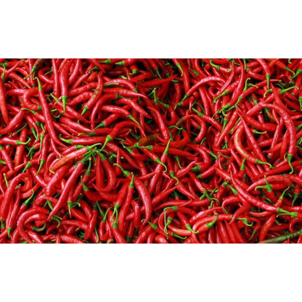 

Cabe Merah Kriting Segar 250gr