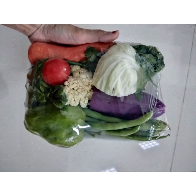 

KIRIM INSTAN Paket sayur komplit