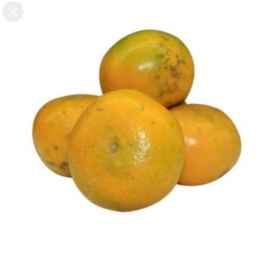 

Jeruk Medan 1 kg