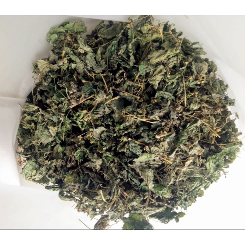 

Teh Daun Jelatang 100gr Urtica dioica teh Jelatang stinging nettle