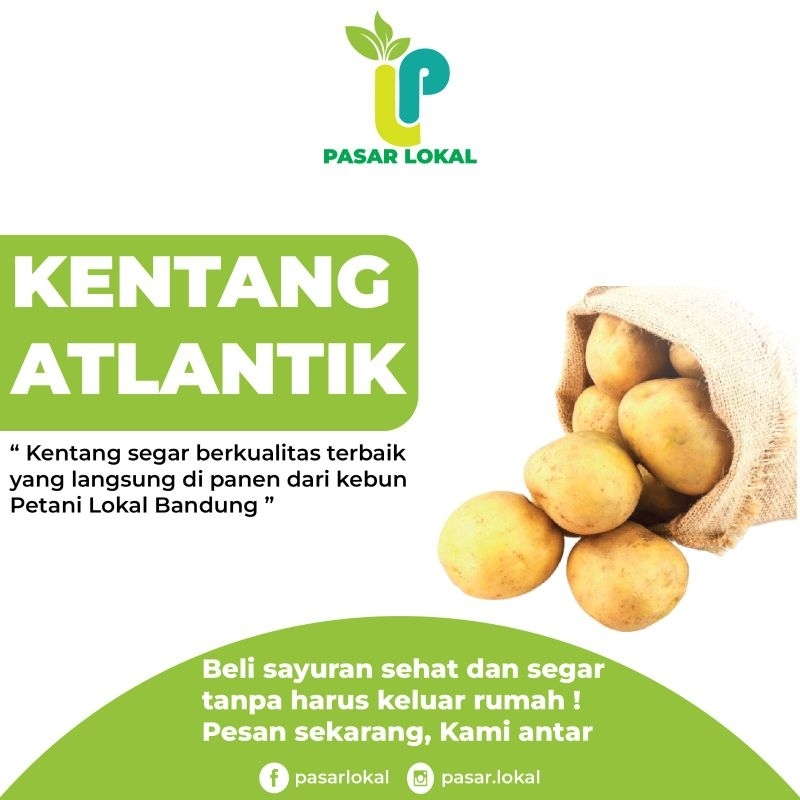 

Kentang Atlantik Varietas Indofood Segar Pilihan Berkualitas