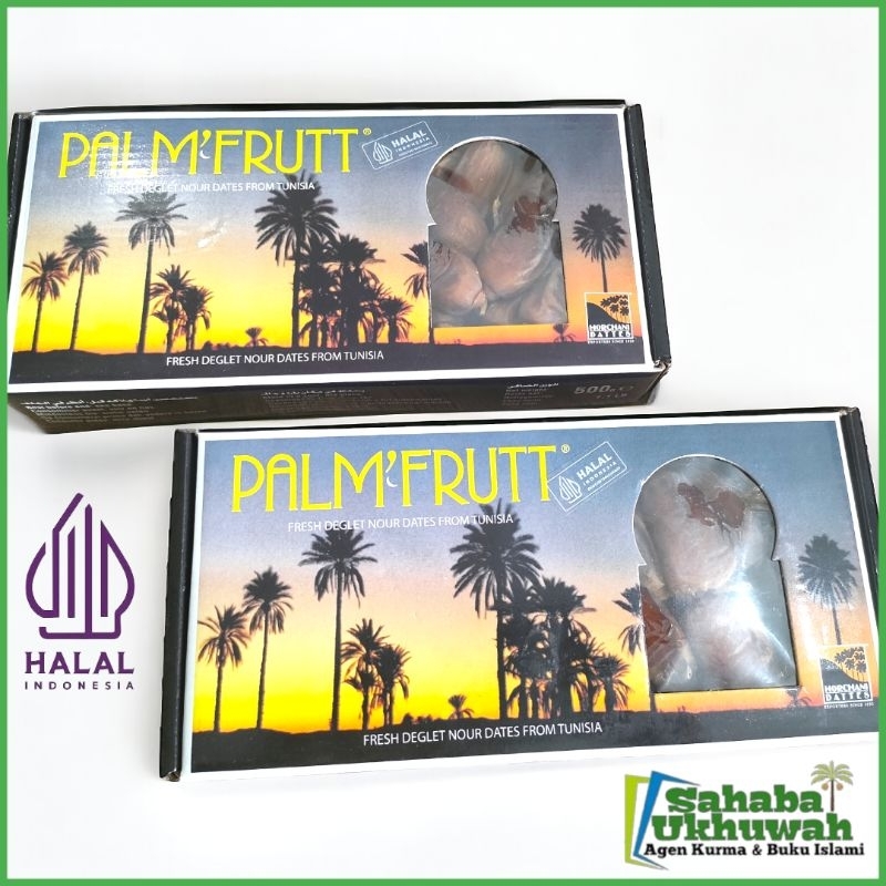 Kurma Palm Tunisia / Algeria