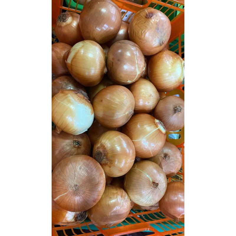 

Bawang Bombai/ Bombay