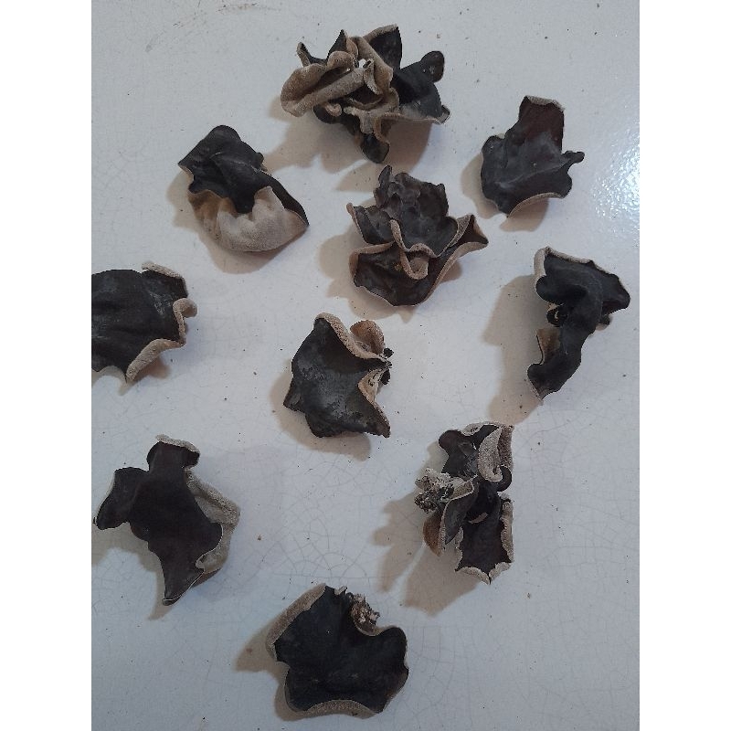 

JAMUR KUPING KERING KUALITAS SEDANG ,BISA COD!!