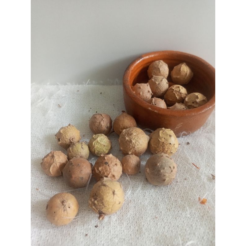 

Buah manjakani putih super 50 gram
