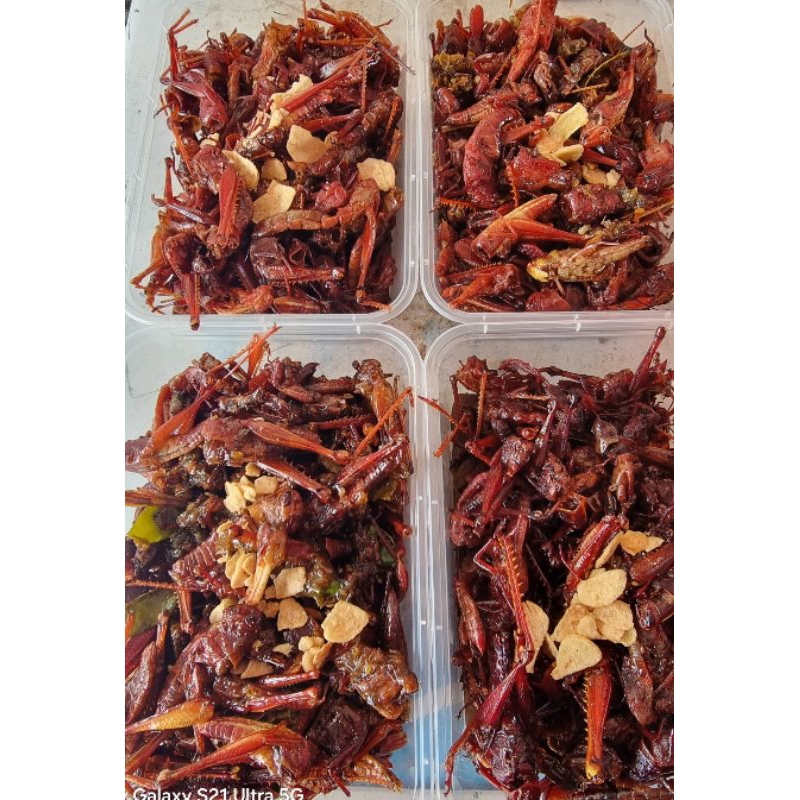 

belalang goreng Wonogiri,sangat lezat banget di temani nasi.80- 100 gr
