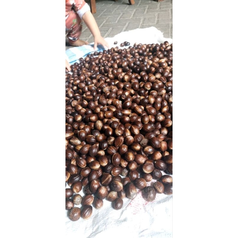 

pala tua kering /1kg