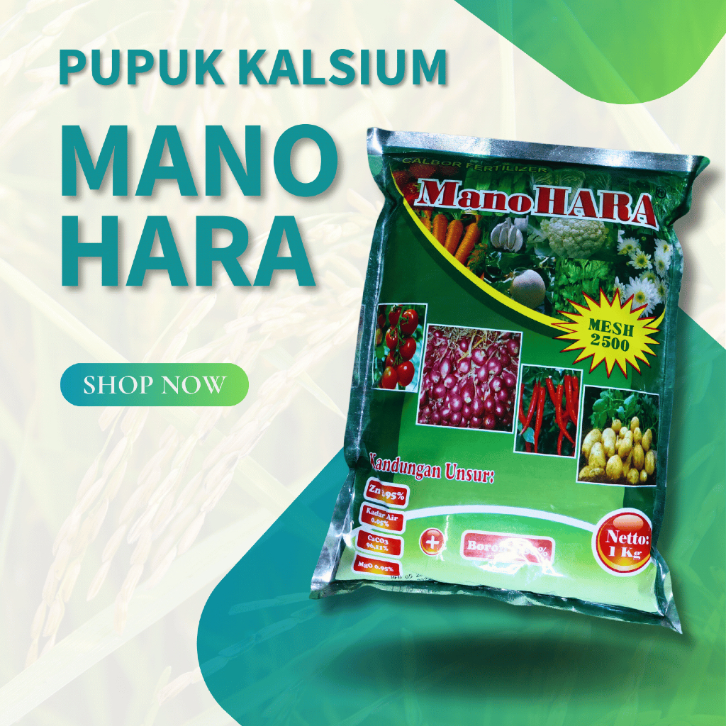 Kalsium Manohara 1kg