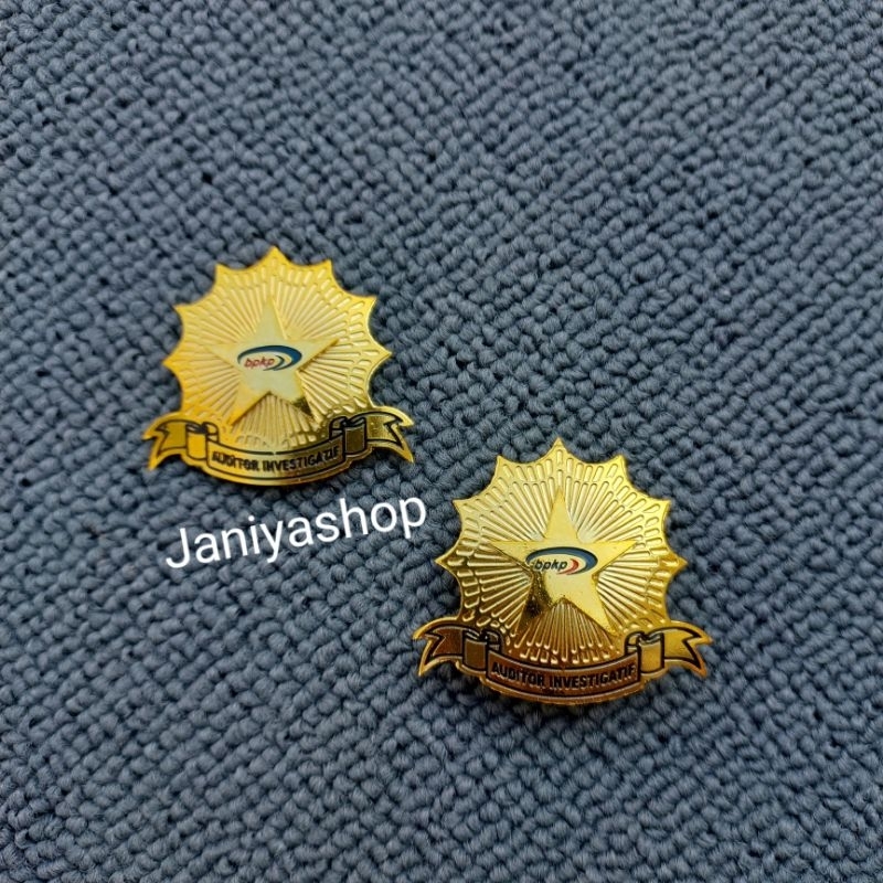 Pin Auditor Investigatif