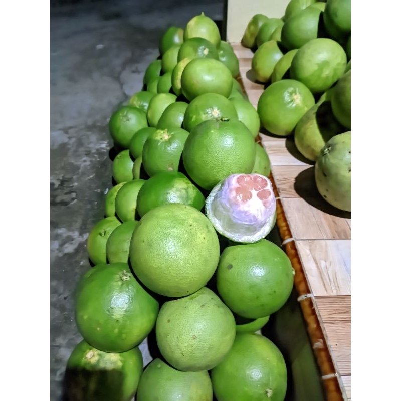 

Jeruk Pamelo Madu Asli Pati berat 20 Kg.