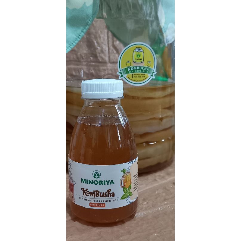 

Scoby Paket Pemula New Brewer Peternak Baby Scoby