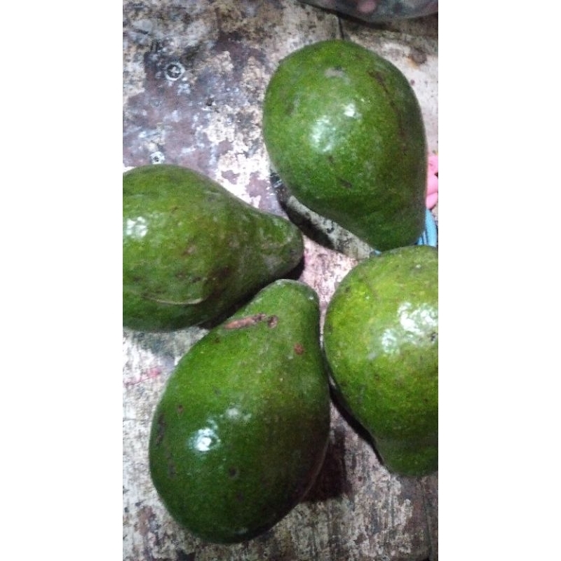 

buah alpukat 1kg ready