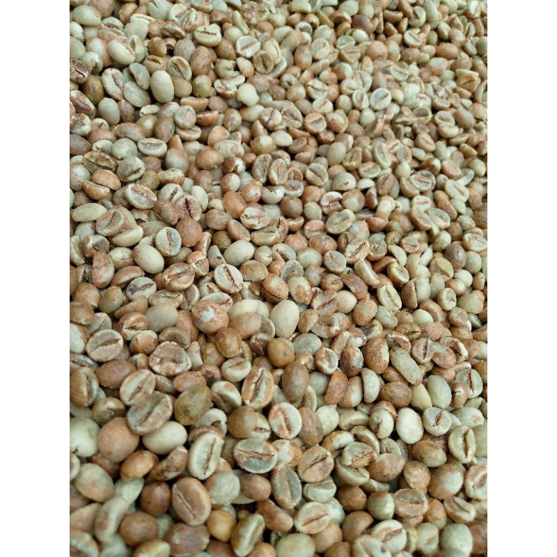 

greenbean fine robusta 2024, proses natural