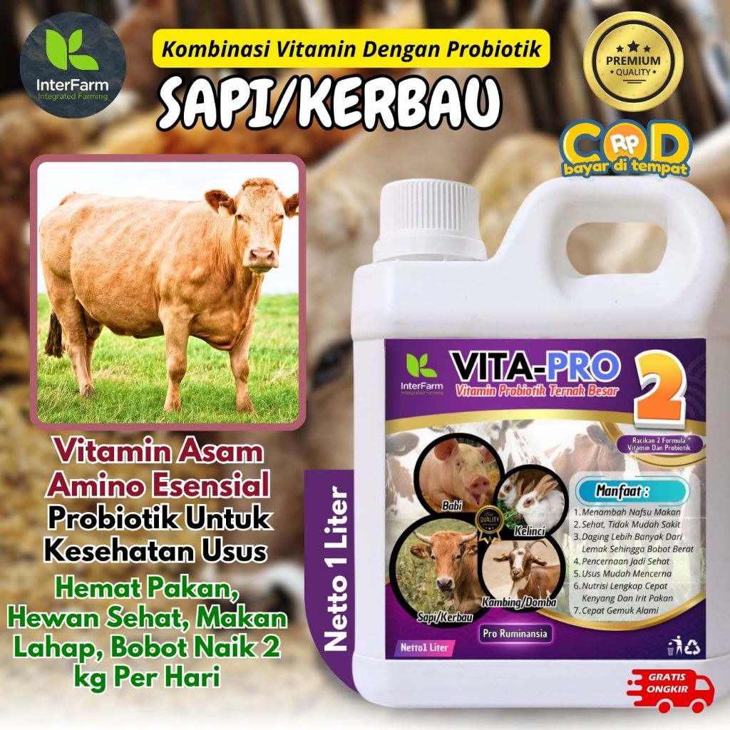 Obat penggemuk sapi, Vitamin penggemuk sapi paling cepat, Jamu sapi penggemuk sapi INTERFARM