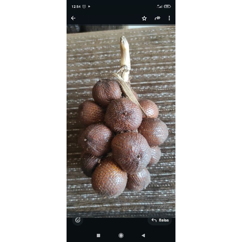 

salak madu bali