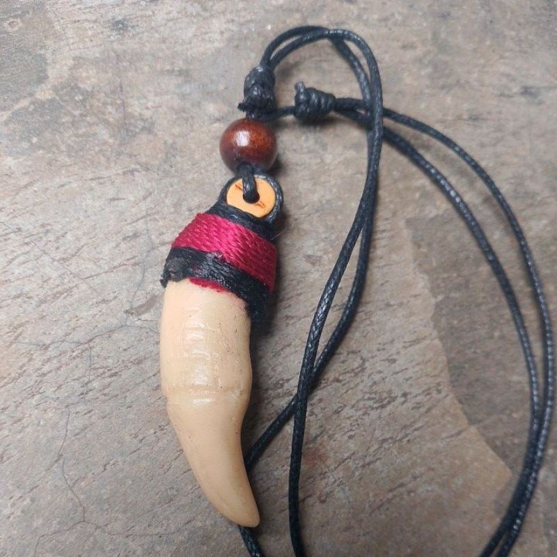 kalung taring macan fashion liontin etnik