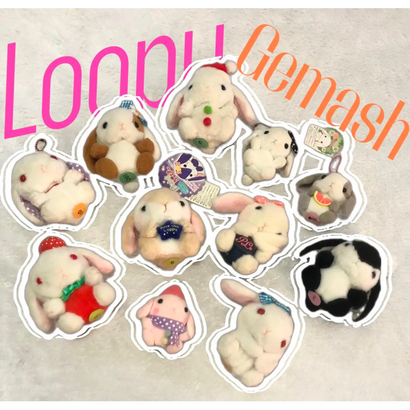 Loopy amuse big sale